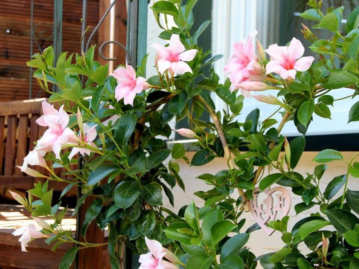 Ferienoase Balve Apartment Bagian luar foto